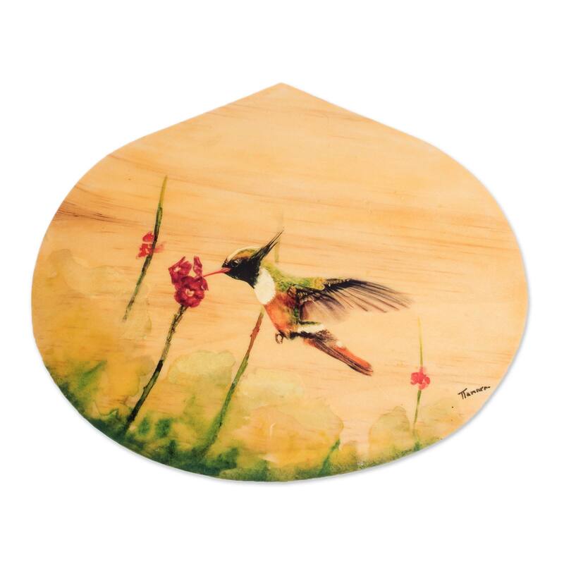 Novica Handmade Hungry Hummingbird Wood Plaque