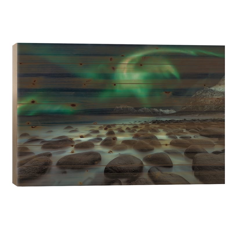 Dragon's Fly Print On Wood by Javier de la Torre - Multi-Color - 18x26x1.5
