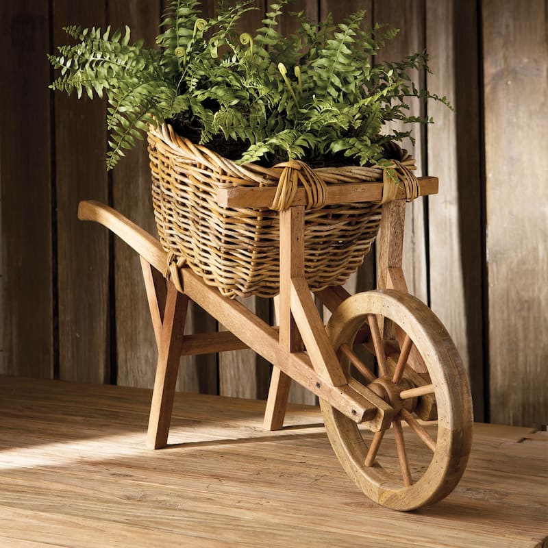 Boston Fern Drop-In 12" - Green