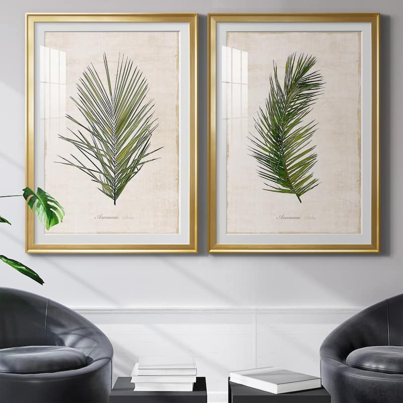 Palm Botanical I Premium Framed Print - Ready to Hang