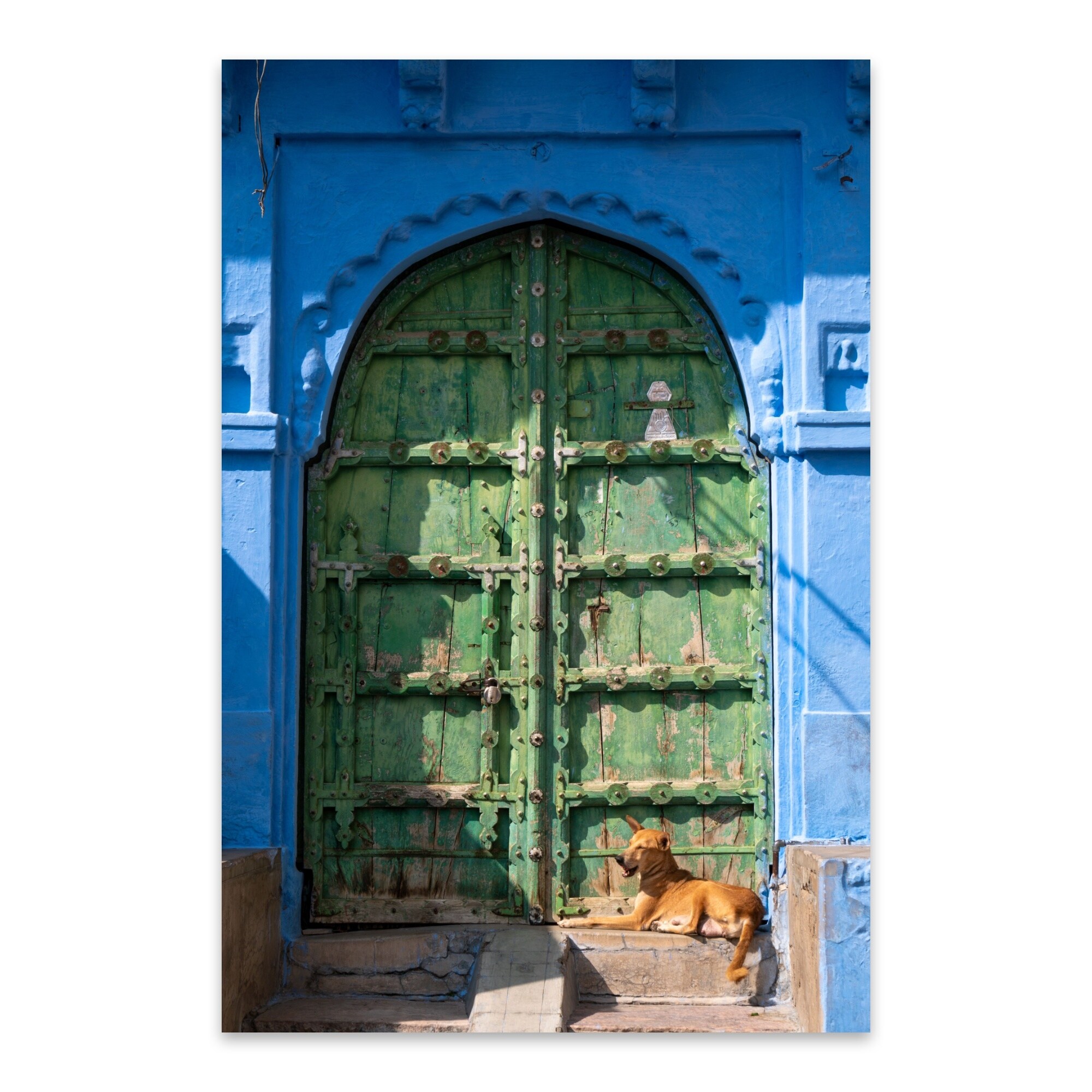 Shop India Architecture Building Dog Doors Metal Wall Art Print Overstock 31280773