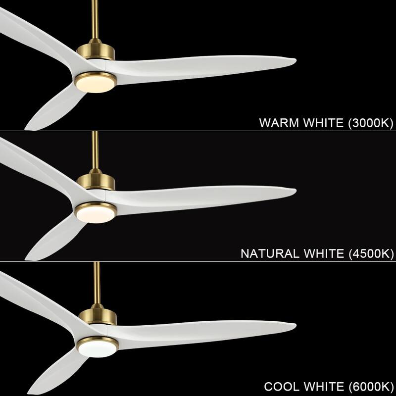 WINGBO 60 Inch DC Ceiling Fan with Lights and Remote Control, 3 Reversible Carved Wood Blades, 6-Speed Noiseless DC Motor