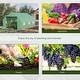 preview thumbnail 7 of 16, Outsunny 11.5' x 10' x 6.5' Outdoor Walk-In Greenhouse w/ Zippered Door