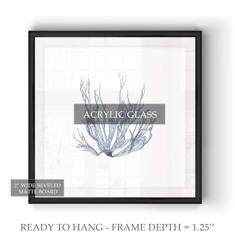 Navy Seaweed IV -Black Framed Print