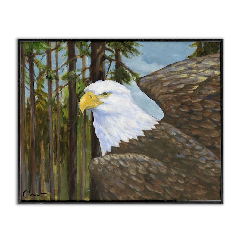 Stupell Woodland Eagle's View Framed Giclee Art Design By Paul Brent - 20 x 16 - Black