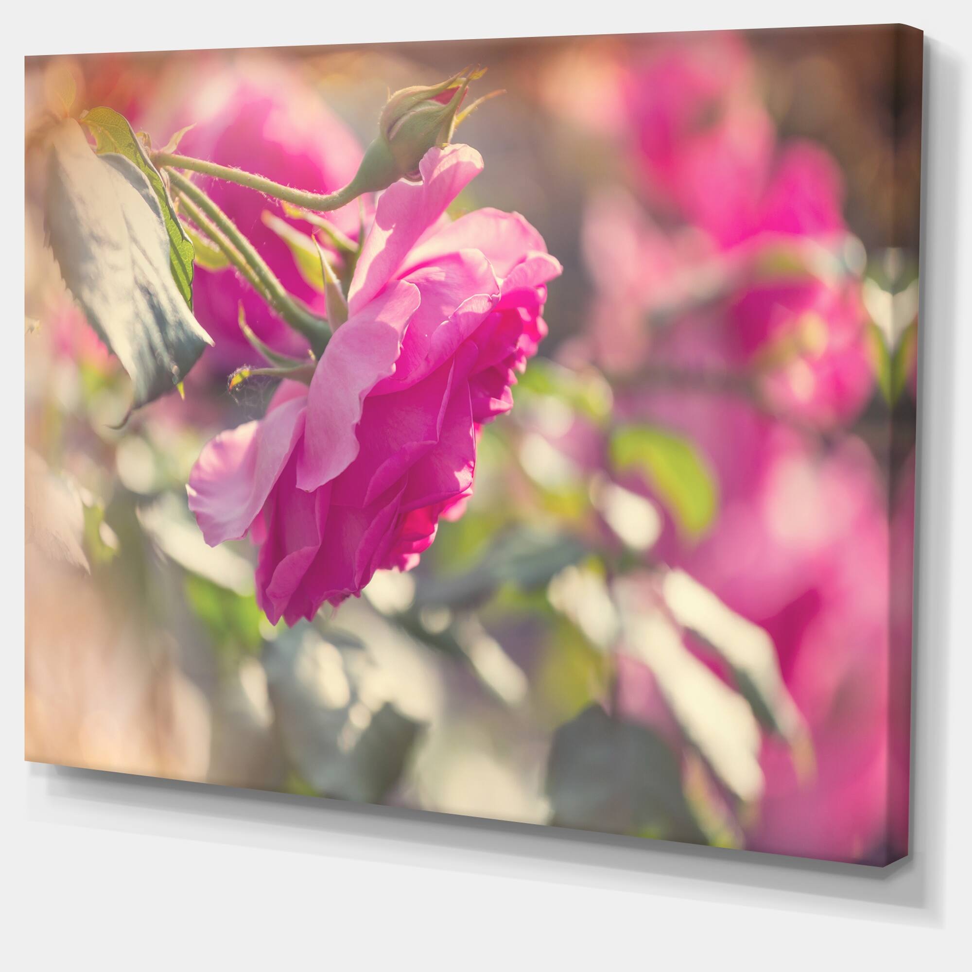 Designart "Beautiful Pink Rose Flowers" Floral Canvas Art Print Bed
