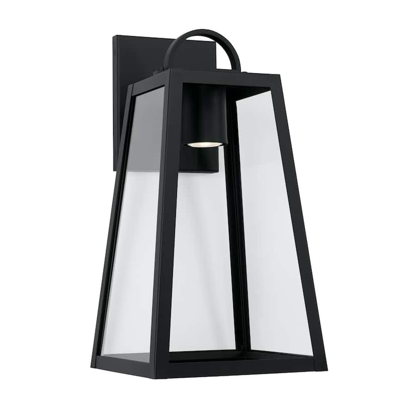 Leighton 20" Tall 1-light Minimal Light Pollution Outdoor Wall Lantern w/ Clear Glass - Black
