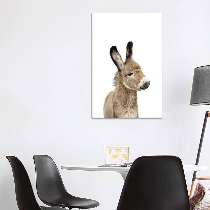 iCanvas "Baby Donkey" by Sisi & Seb Canvas Print - 40x26x1.5