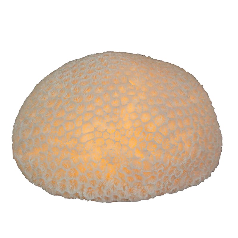 6 Inch Resin Led Brain Coral Accent Lamp Table Light - 3.25 X 6 X 5 inches