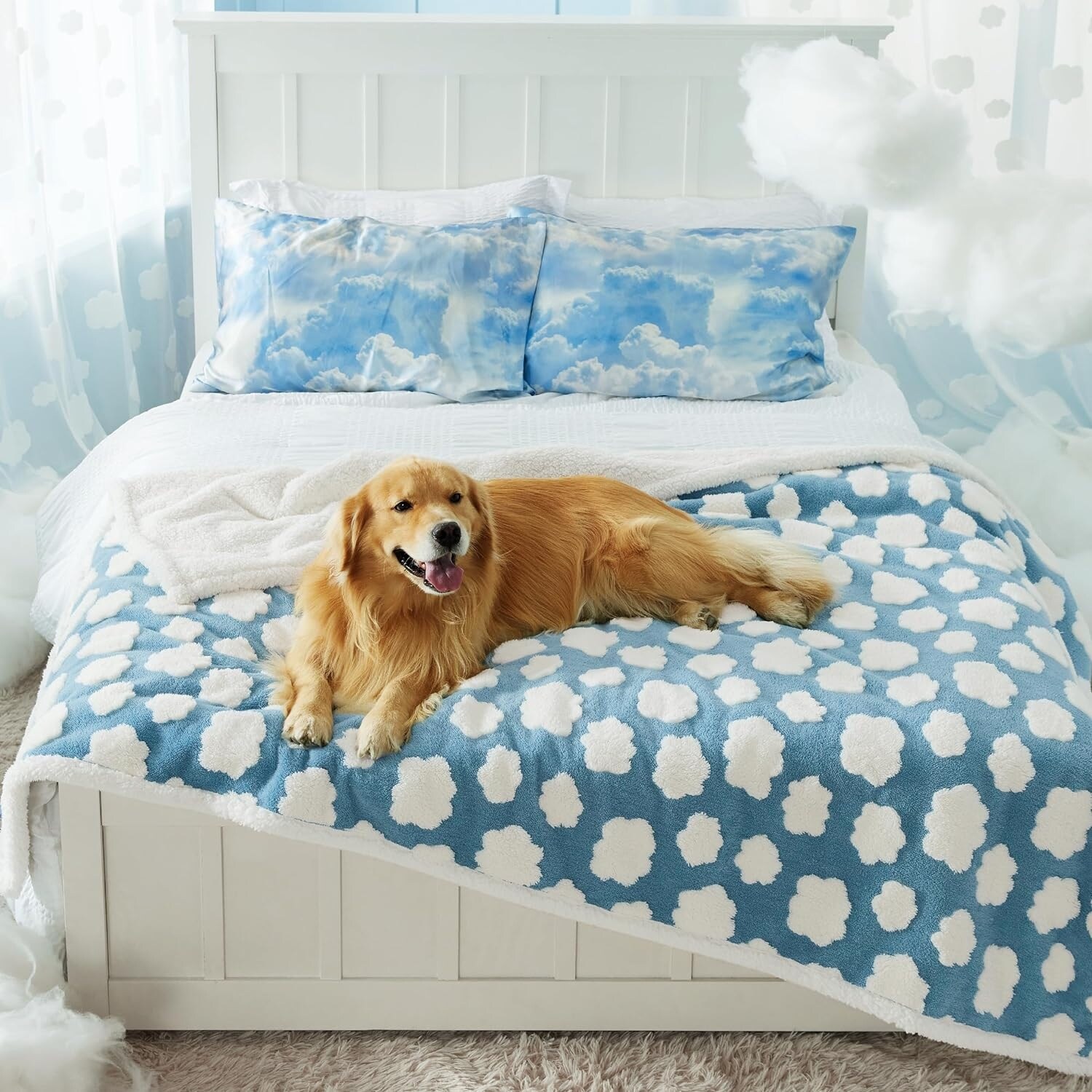 Dog beds overstock best sale