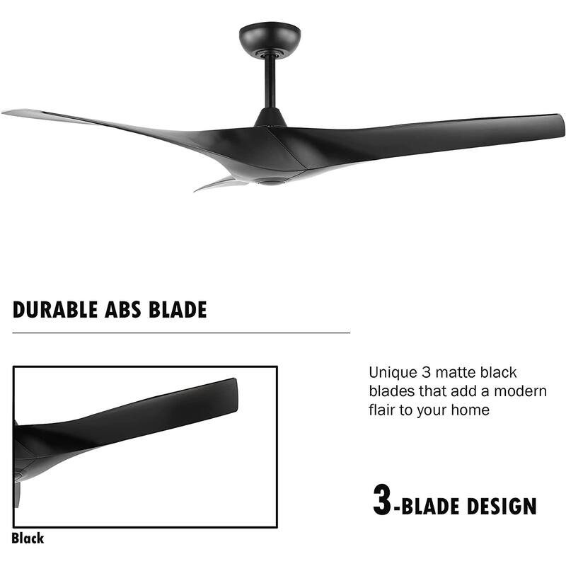 WINGBO 52'' DC Ceiling Fan without Lights, Matte Black with Remote - N/A
