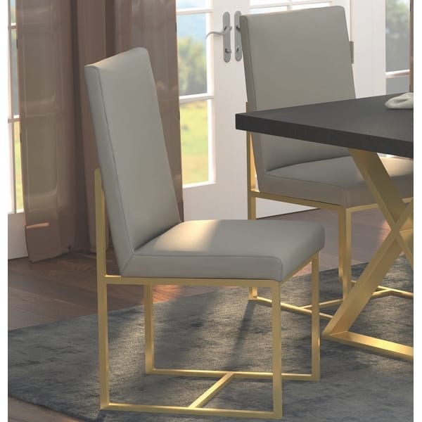 Modern Floating Design Grey and Gold Dining Chairs (Set of 2) 30872852