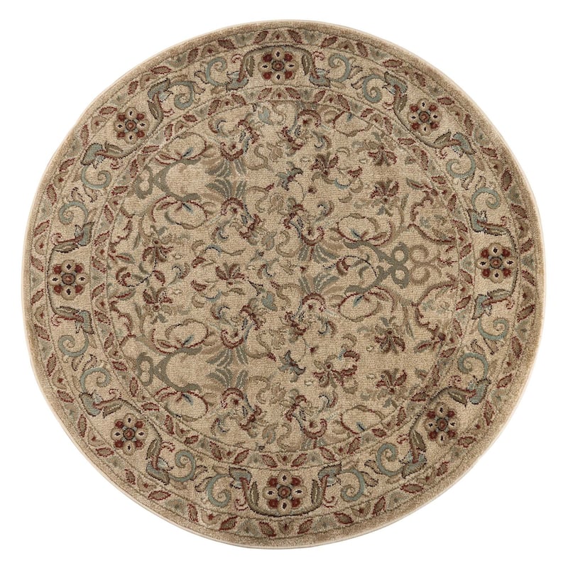 Superior Heritage Traditional Floral Scroll Indoor Area Rug