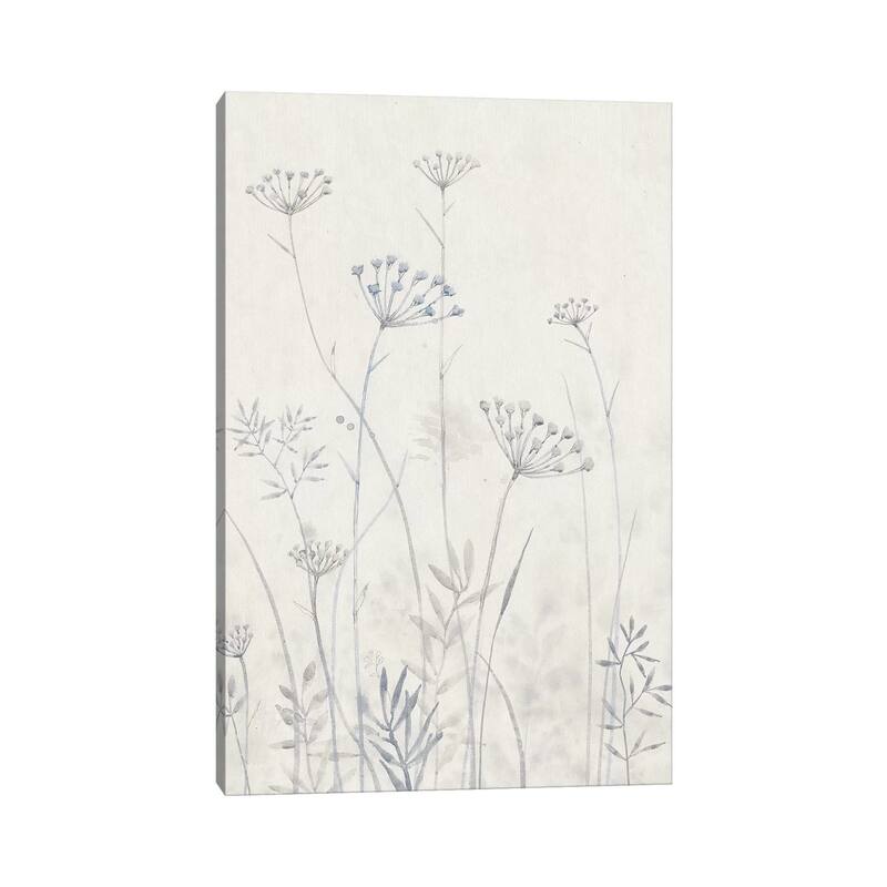 iCanvas "Neutral Queen Anne's Lace I" by Tim OToole Canvas Print
