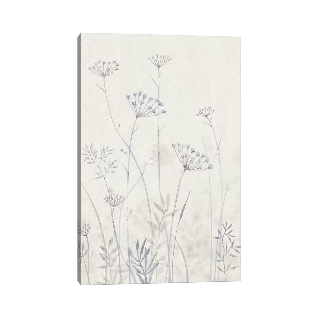 iCanvas "Neutral Queen Anne's Lace I" by Tim OToole Canvas Print
