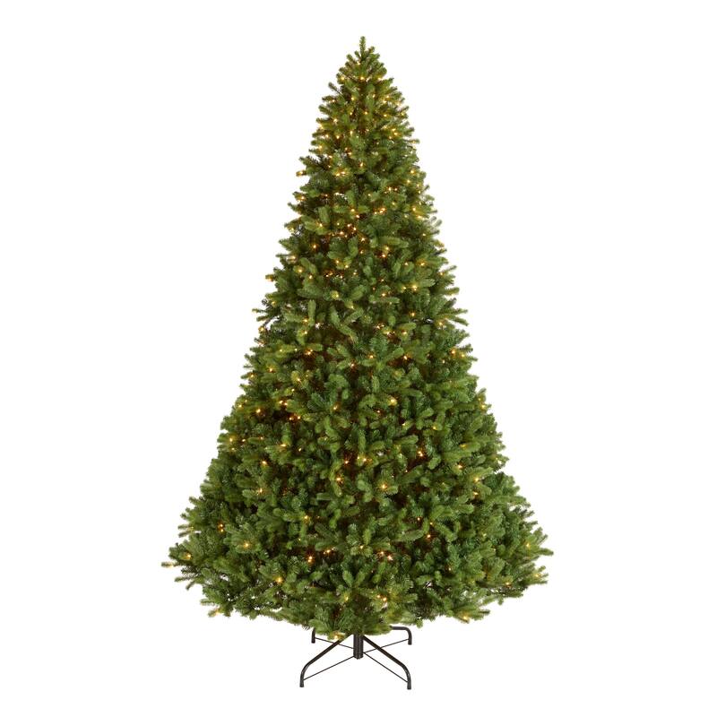 National Tree Company 12 ft. Downswept Douglas Fir Tree with Clear Lights - 12 Foot