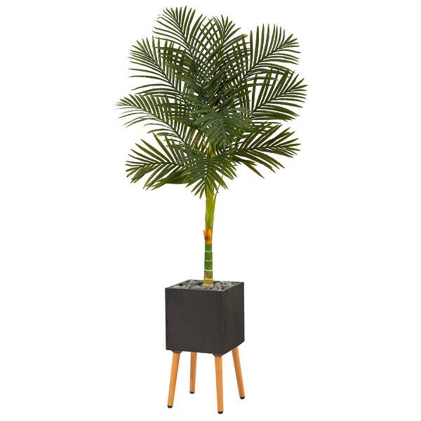 6' Golden Cane Artificial Palm Tree in Black Planter with Stand Bed