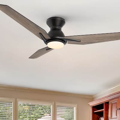 CARRO Jaiden 52" 3- Blade Smart Ceiling Fan with LED Light and Remote Control
