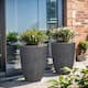 Option Mediterranean Black
