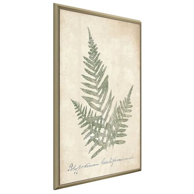 "Vintage Ferns XI" Print on Floating Canvas