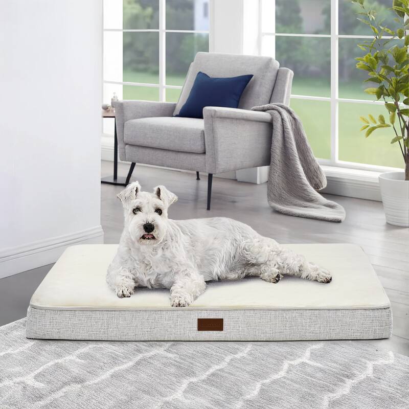 Orthopedic Dog Bed with Washable Cover - 36x27x3 - Light Grey/White
