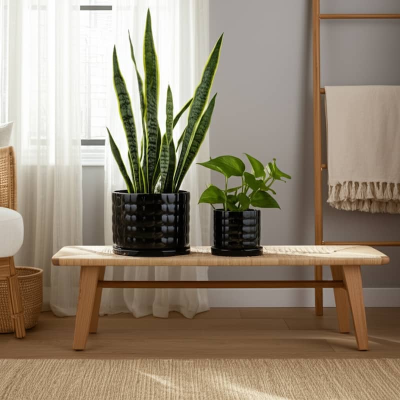 Ceramic Planter Set with Round Design and Drainage Tray (Set of 2)