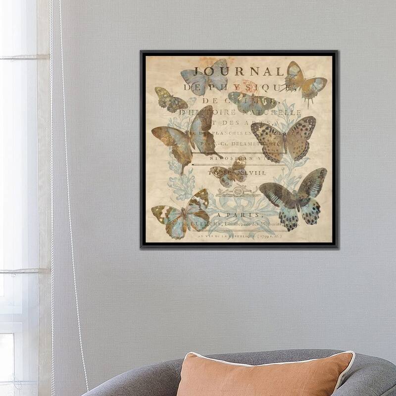 iCanvas "Papillon I" by Deborah Devellier Framed