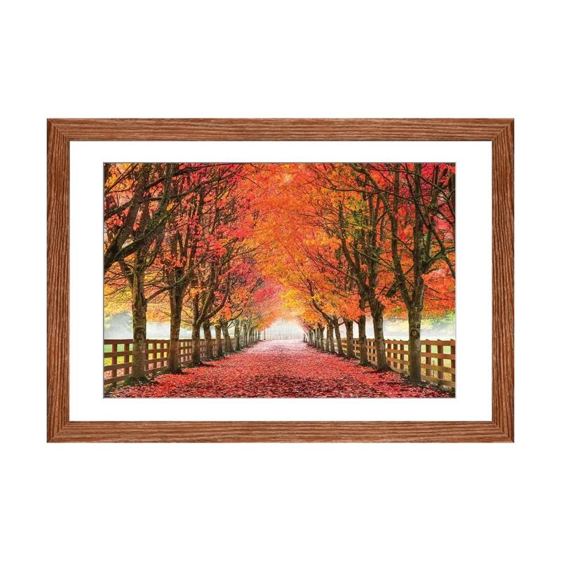 iCanvas "North Bend Trees" by Aaron Reed - Walnut - 24x32x1