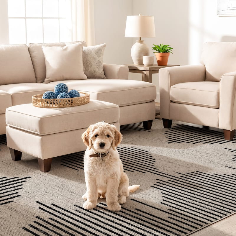 Modern Abstract Area Rug for Living Room, Bedroom, or Entryway - Low Pile Indoor Rug