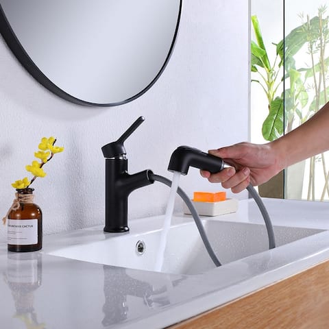 Single Handle Bathroom Sink Faucet with Pull Out Sprayer