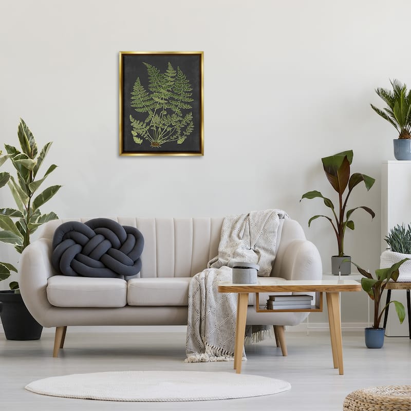 Stupell Botanical Drawing Green Black Design Floater Frame