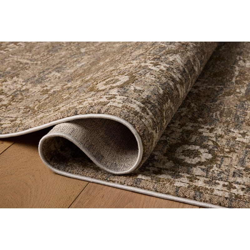 Alexander Home Halden Traditional Area Rug