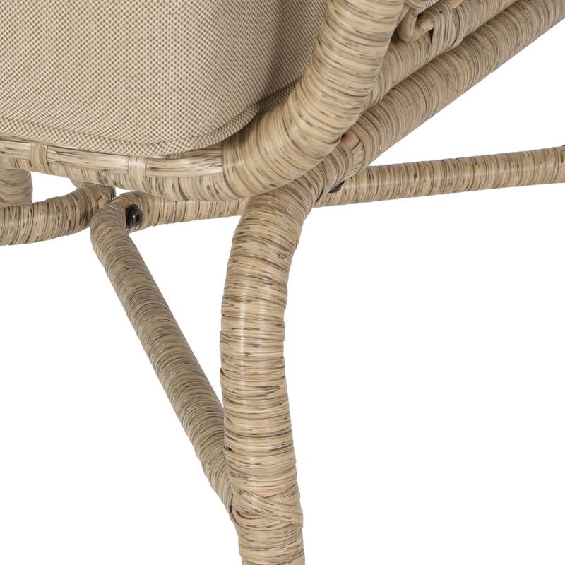 Bruce Outdoor Outdoor Wicker Club Chairs (Set of 2) by Christopher Knight Home