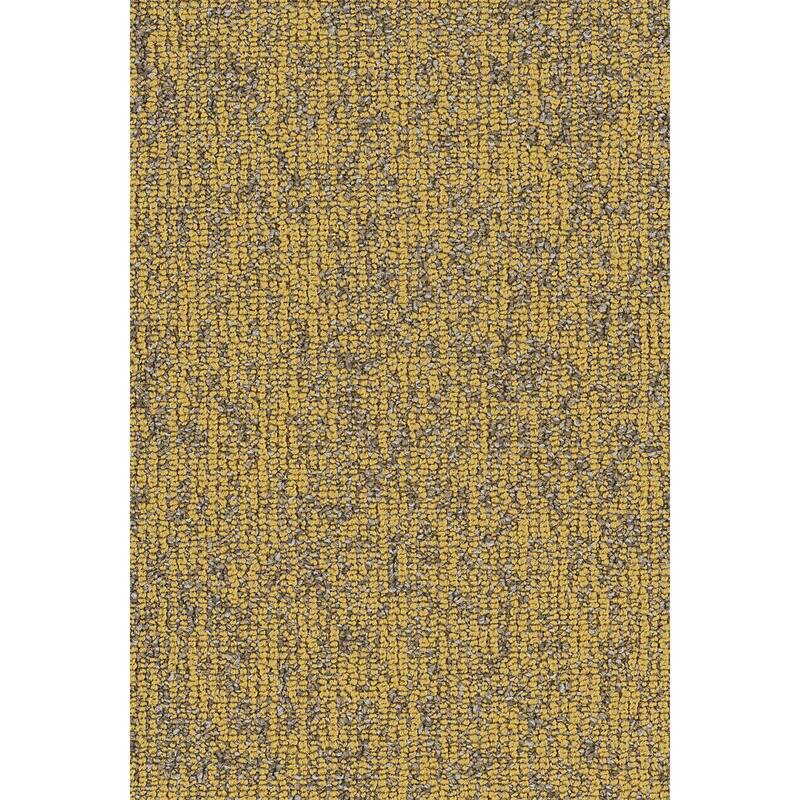 Shaw Philadelphia Commercial Basin 9" x 36" Glue Down Carpet Tile - - Monadnock