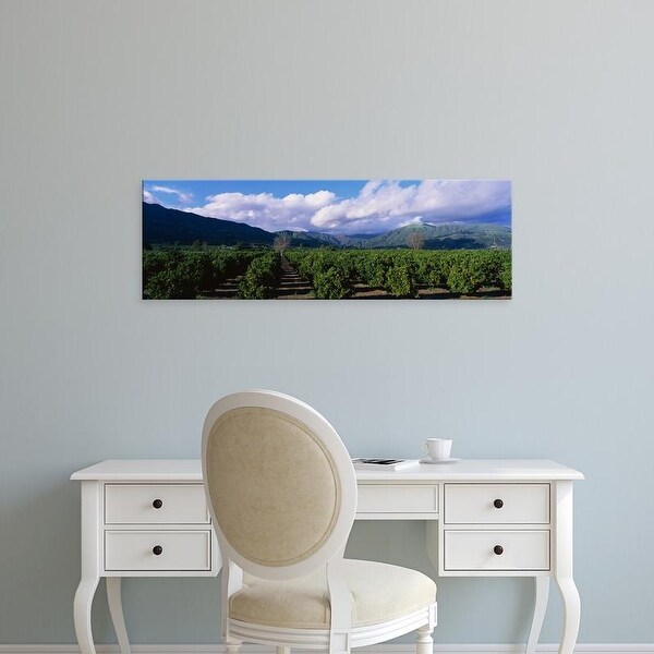 Easy Art Prints Panoramic Images's 'Orange Orchard Fillmore CA' Premium Canvas Art