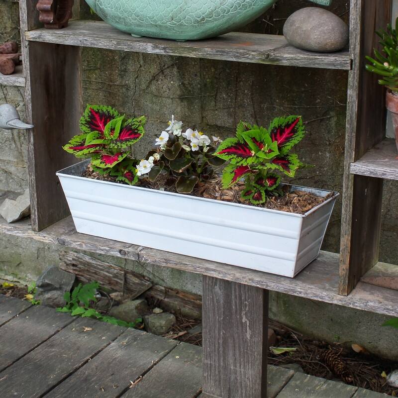 Achla Designs 22" W Galvanized Steel Bloom Box Garden Growing Kit