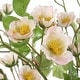 preview thumbnail 3 of 1, Uttermost Tranquility Lenten Rose Bouquets Set/2