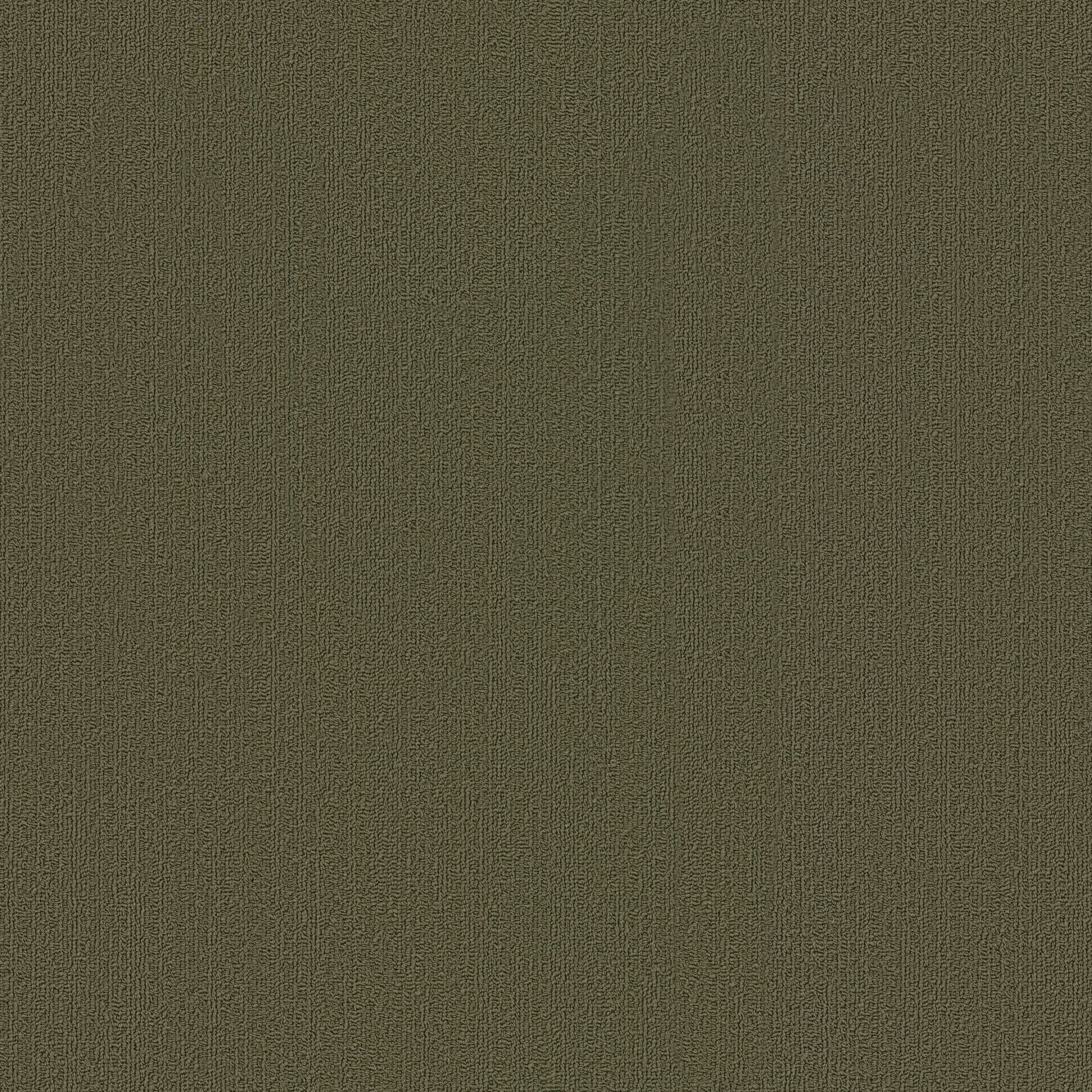 Shaw Philadelphia Commercial Color Accents TL 24" x 24" Glue Down