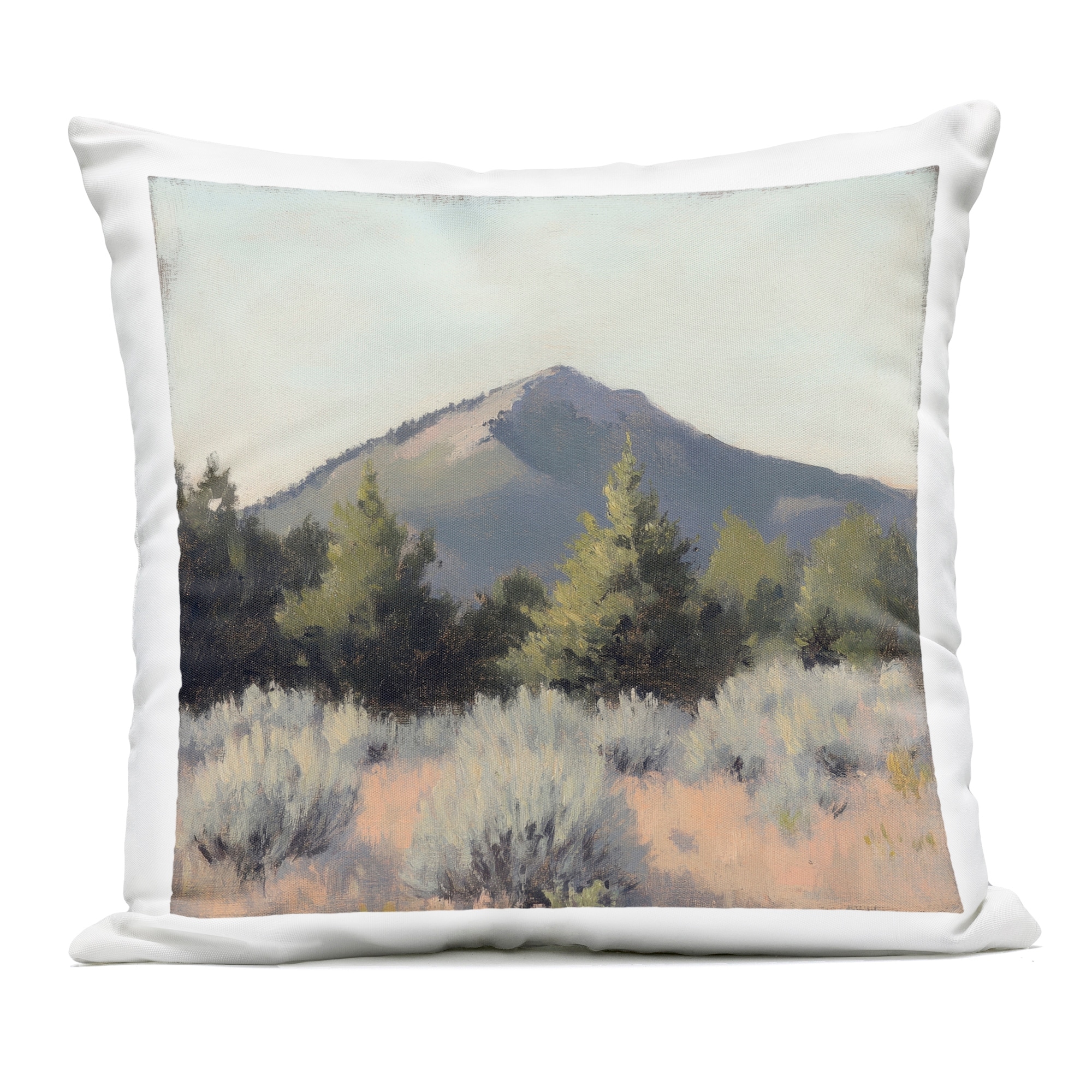 Stupell Tucson Mountain Landscape Decorative Printed Outdoor Throw Pillow Design by Petal Prints Design