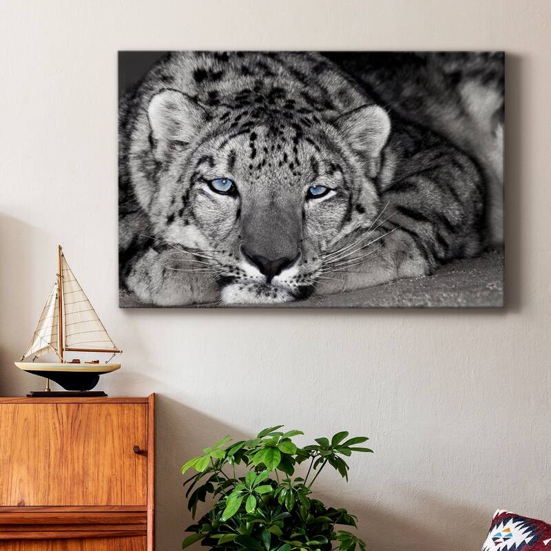 Snow Leopard Sanctuary Premium Gallery Wrapped Canvas - Ready to Hang