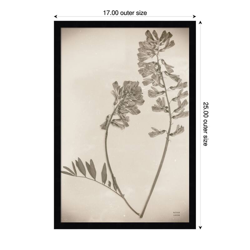Wildflower Journal Vintage No. 6 by Nathan Larson Wood Framed Wall Art Print - 17 x 25 in - Black