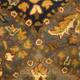 SAFAVIEH Handmade Antiquity Philomena Traditional Oriental Wool Rug
