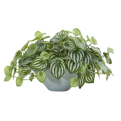 19" Watermelon Peperomia Artificial Plant in Green Vase (Real Touch) - 19