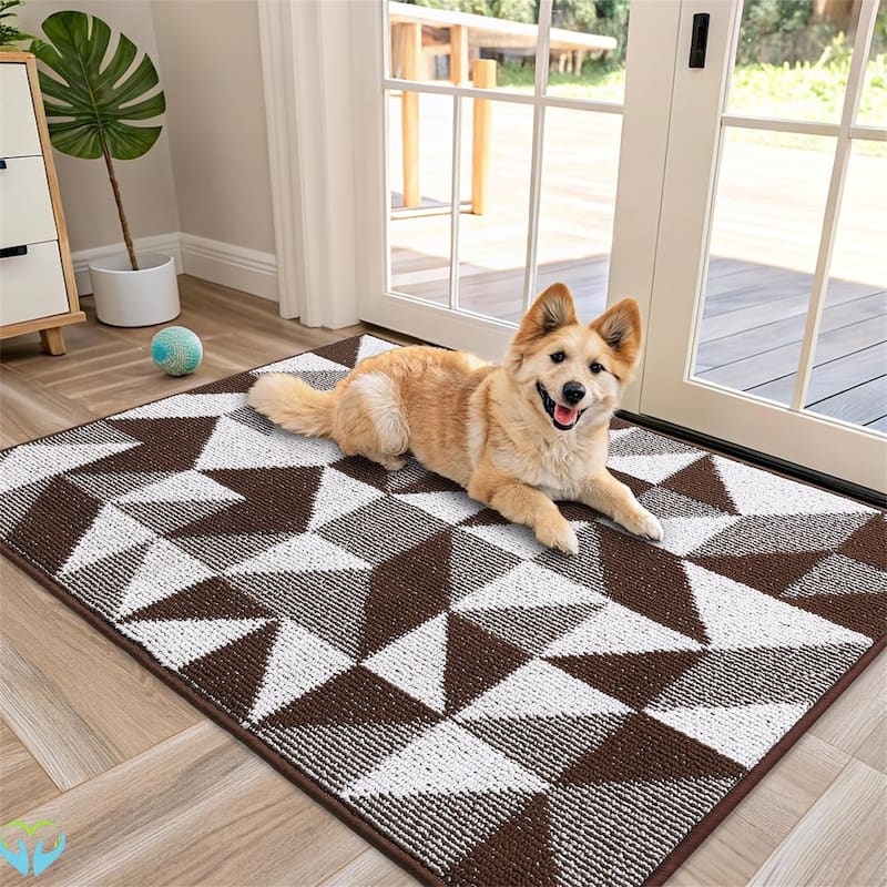 2 pack-Door Mat Indoor Entrance Washable