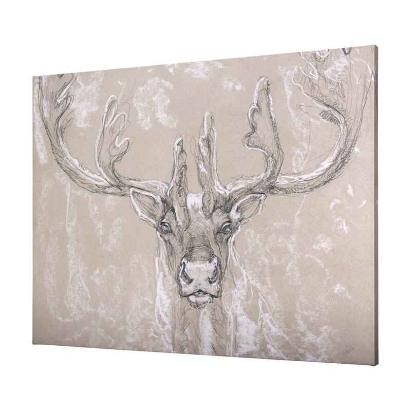 Sketch of Animal II (Caribou) (40 x 30) Canvas Art Print