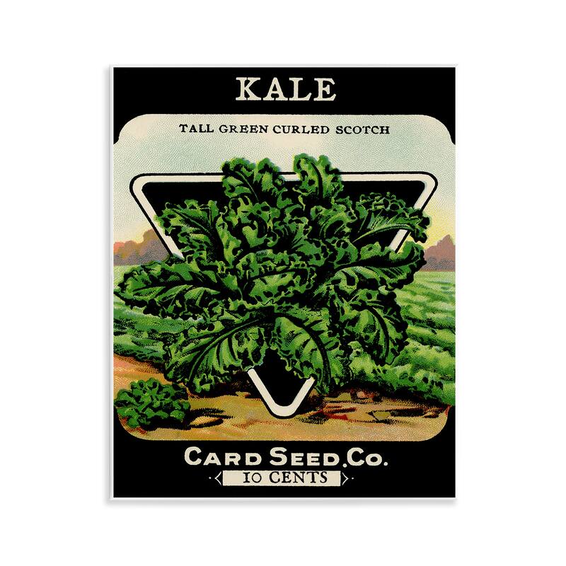 Stupell Vintage Garden Kale Wall Plaque Art Design By Lil' Rue - 11 x 14