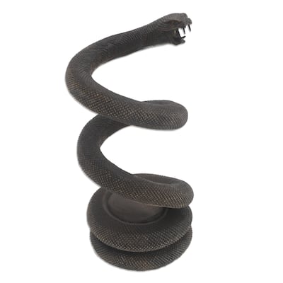 Novica Handmade Snake Embrace Wood Bottle Holder