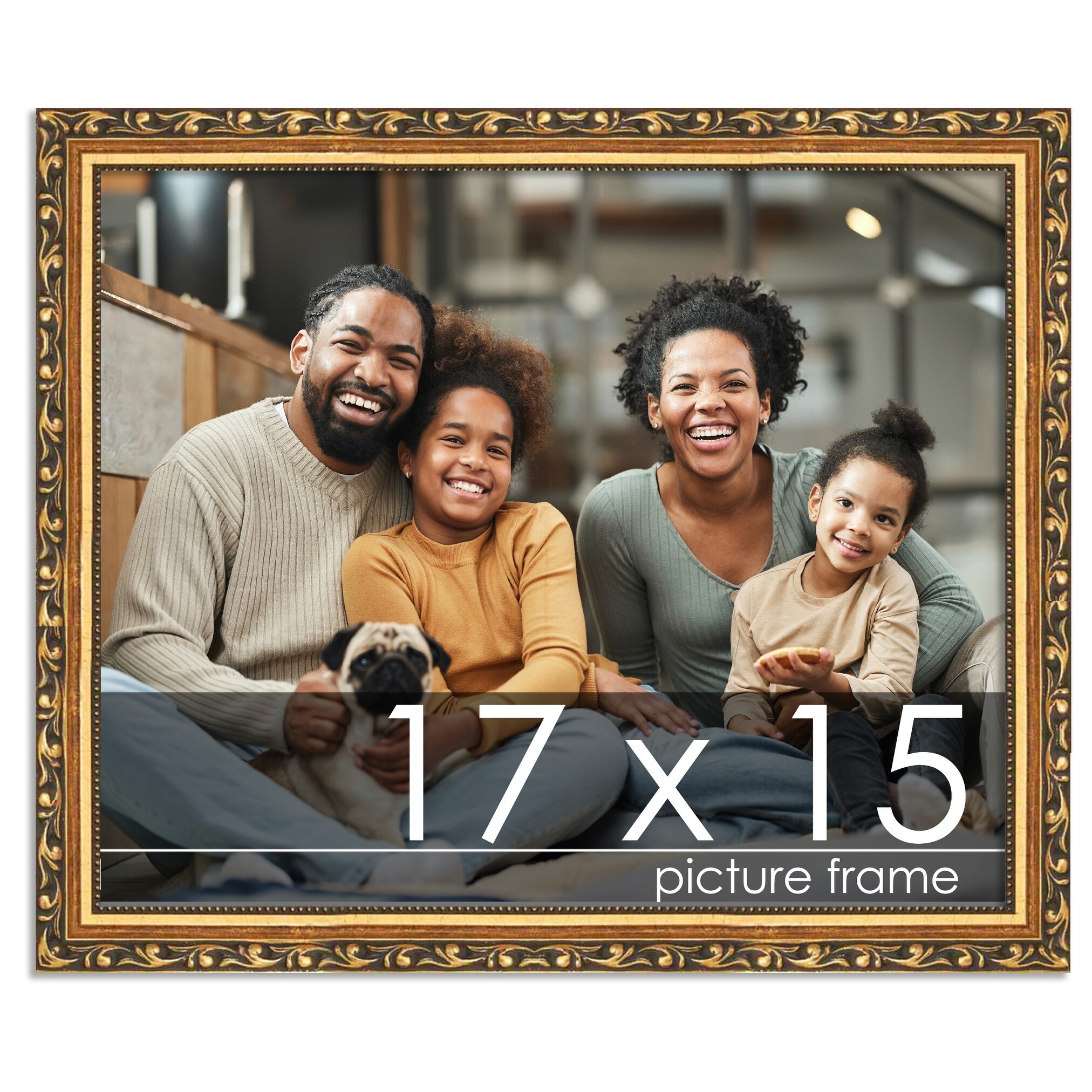 17x15 Traditional Gold Complete Wood Picture Frame with UV Acrylic