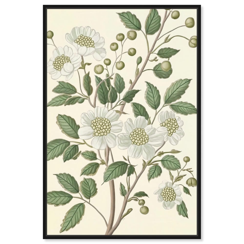 White Cherokee IV Canvas by Art Remedy