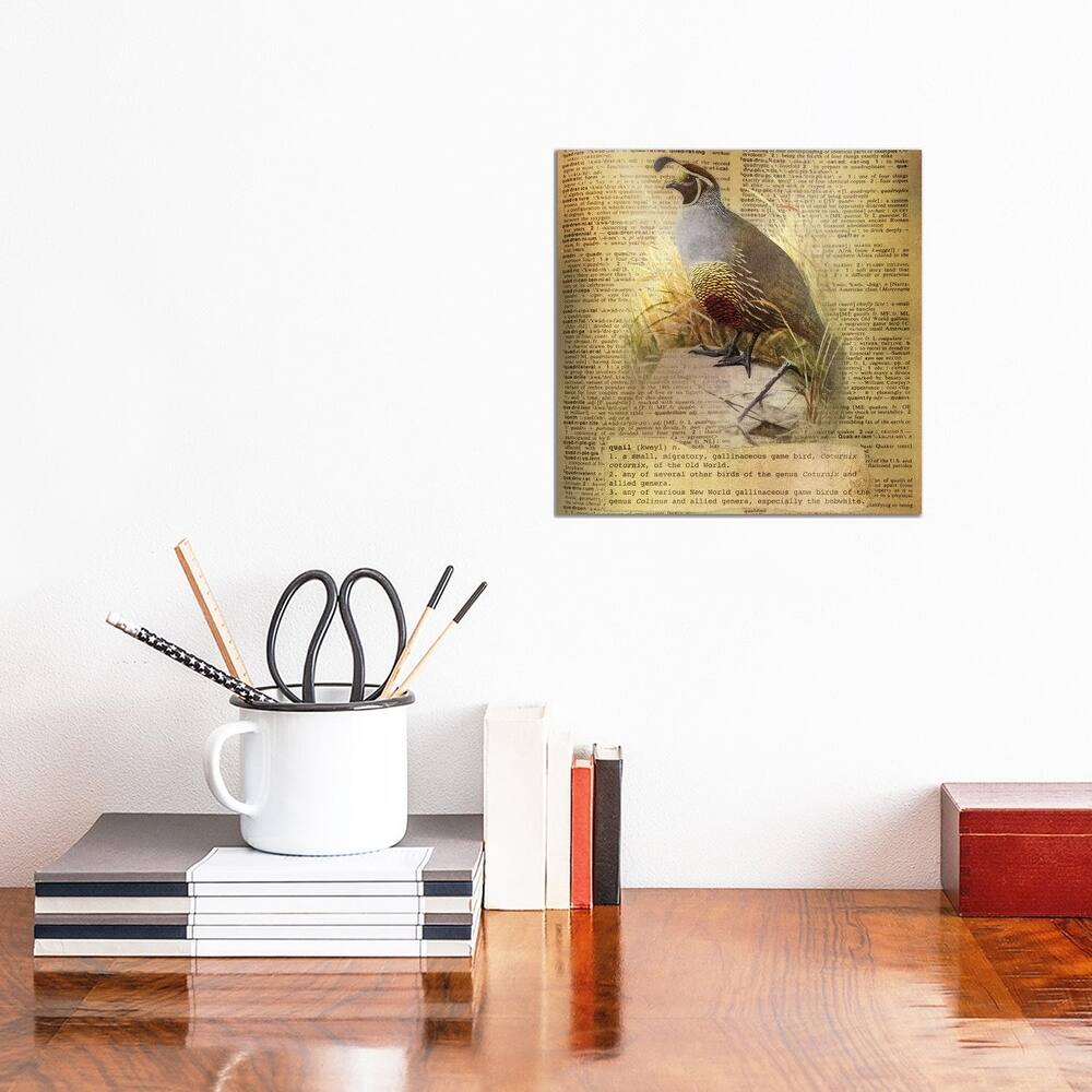iCanvas "Q - Quail Square" by 5by5collective Canvas Print